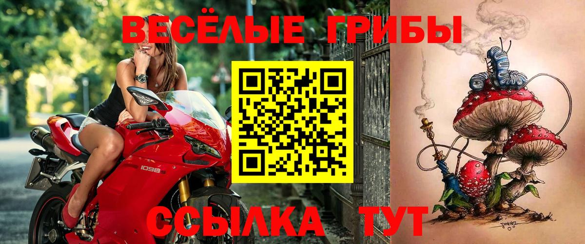Галлюциногенные грибы Psilocybine cubensis  Вход с VPN  Калуга 