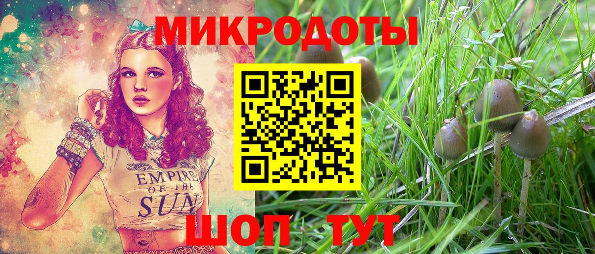 Галлюциногенные грибы Magic Shrooms Калуга